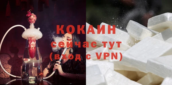 крисы Ельня