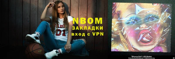 крисы Ельня