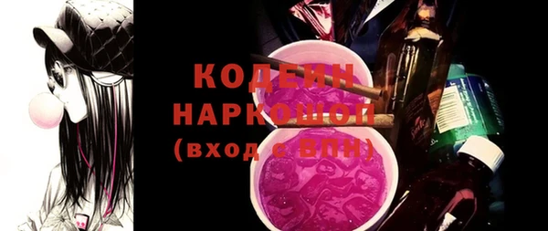 молекула духа Елабуга