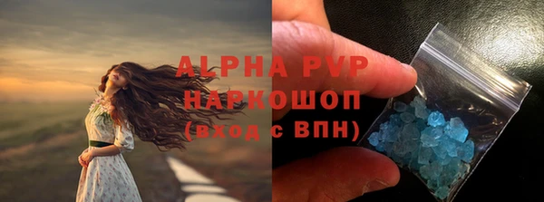 молекула духа Елабуга
