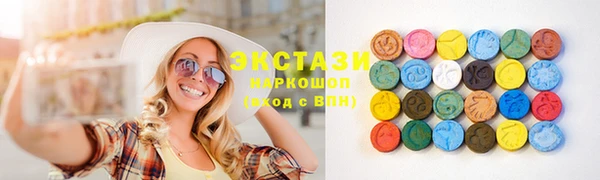 крисы Ельня