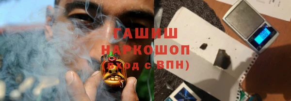 молекула духа Елабуга