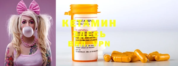 крисы Ельня