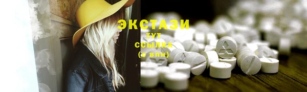 молекула духа Елабуга