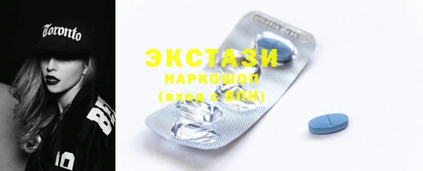 крисы Ельня