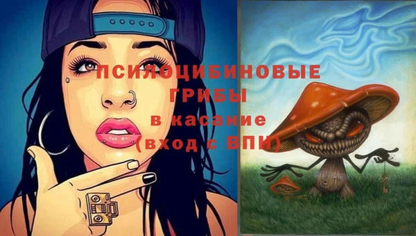 молекула духа Елабуга