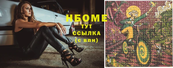 молекула духа Елабуга