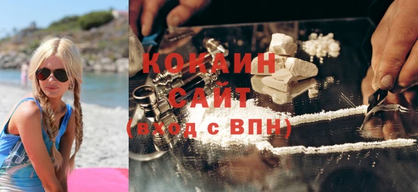 крисы Ельня
