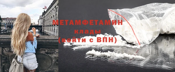 крисы Ельня