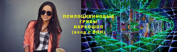 крисы Ельня