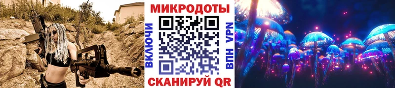 Купить где  Зея  Псилоцибиновые грибы Psilocybine cubensis 