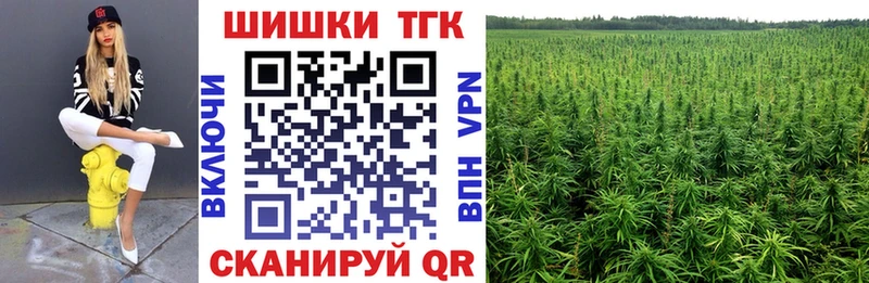 Купить где  Зея  Бошки Шишки ГИДРОПОН 